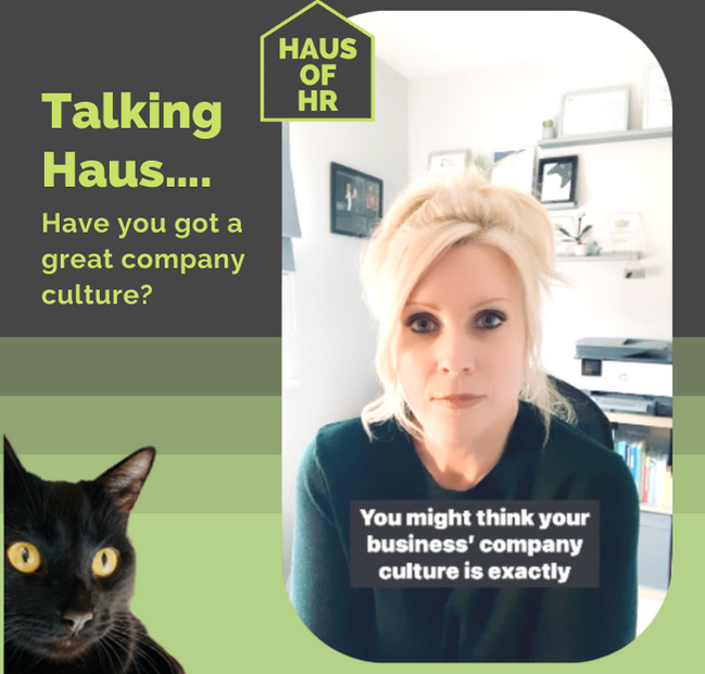 Talking Haus HR Video. Female with blonde hair and black cat